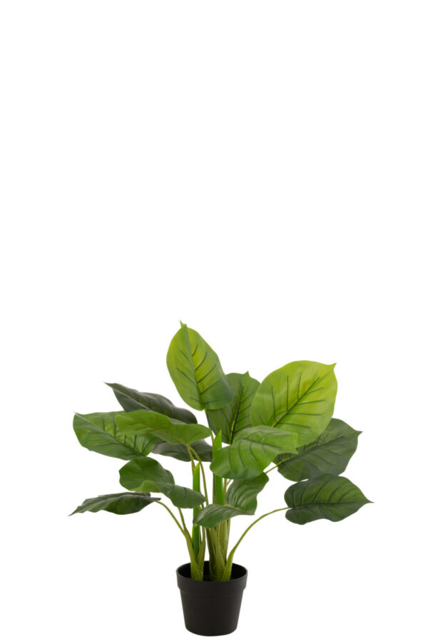 Kunsttaim POTHOS H70cm, roheline