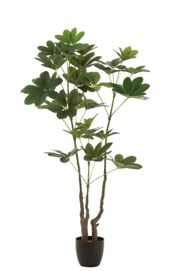 Kunstpuu MONEY TREE H157cm, roheline