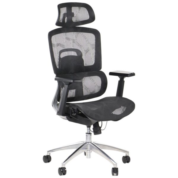 Kontoritool ERGONOMIC A1 võrkistmega