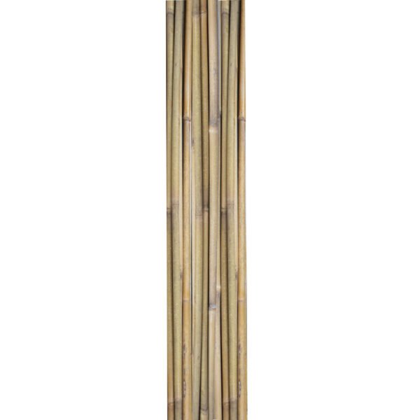 Taimetugi BAMBUSKEPID IN GARDEN 180cm 10tk
