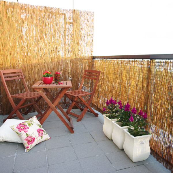 Bambusaed IN GARDEN 1,5x5m