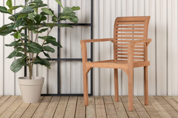 Aiatool KENYA, naturaalne