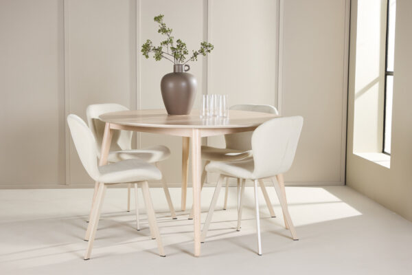 Söögitoa komplekt Flora&Lilja 4 tooli