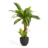 kunstliche-dracaena-im-plastik-topf-80-cm-ibbe-design-1_861x.progressive_095f2320-ebc6-4676-b666-3c38be11ca0d.jpg
