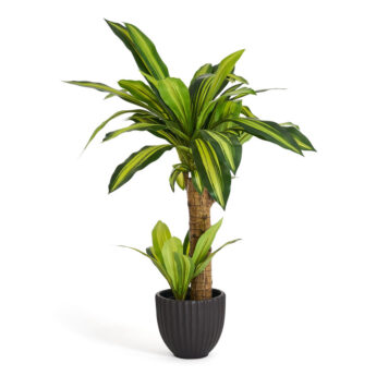 kunstliche-dracaena-im-plastik-topf-80-cm-ibbe-design-1_861x.progressive_095f2320-ebc6-4676-b666-3c38be11ca0d.jpg