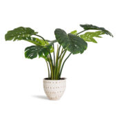 kunstliche-monstera-im-plastik-topf-110-cm-ibbe-design-1_861x.progressive_89399ee1-ecc1-4d11-a63d-89b5bcc450f0.jpg