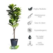 kunstpflanze-ficus-155-cm-artificial-plant-4ever-green-112855.jpg