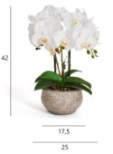 kunstpflanze-weiss-orchidee-phalaenopsis-42-cm-artificial-plant-4ever-green-705668.jpg