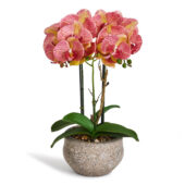 kunstliche-orange-orchidee-phalaenopsis-im-grau-zement-topf-42-cm-ibbe-design-1_862x.progressive_5448afb2-e278-4292-a3da-8ebb3897c7aa.jpg